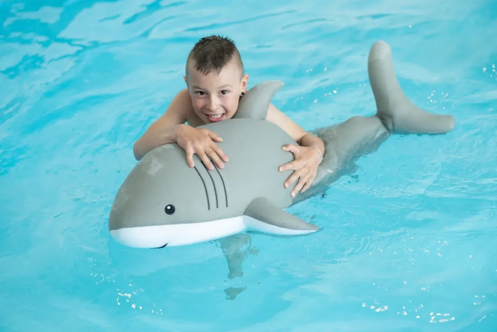 Westmann Pool Buddy versch. Ausführungen