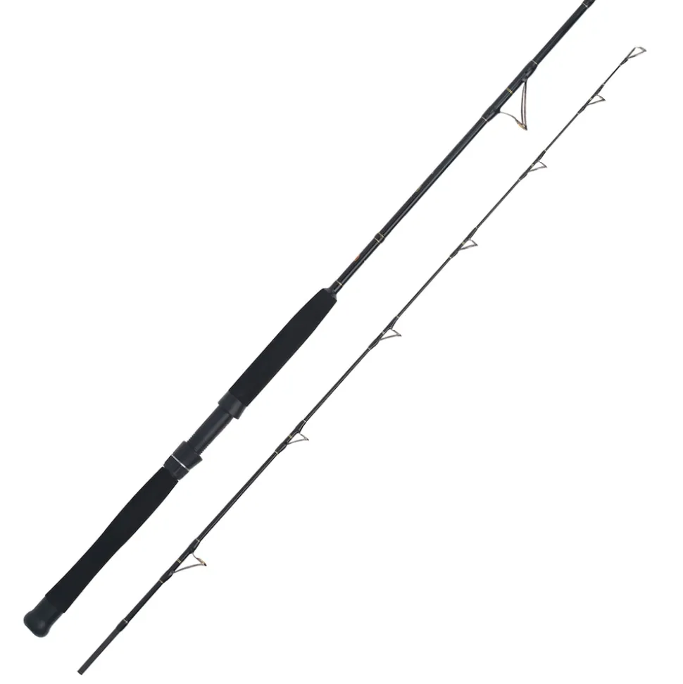 WFT Cool Sea Special Fjord 2pc. 2,10m 42lbs 50-420g Meeresrute