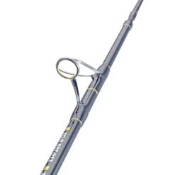 WFT Cool Sea Special Fjord 2pc. 2,10m 42lbs 50-420g Meeresrute
