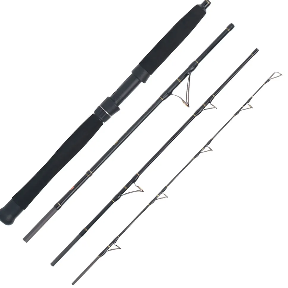 WFT Cool Sea Special Fjord 4pc. 2,10m 25lbs 30-300g Meeres-Reiserute