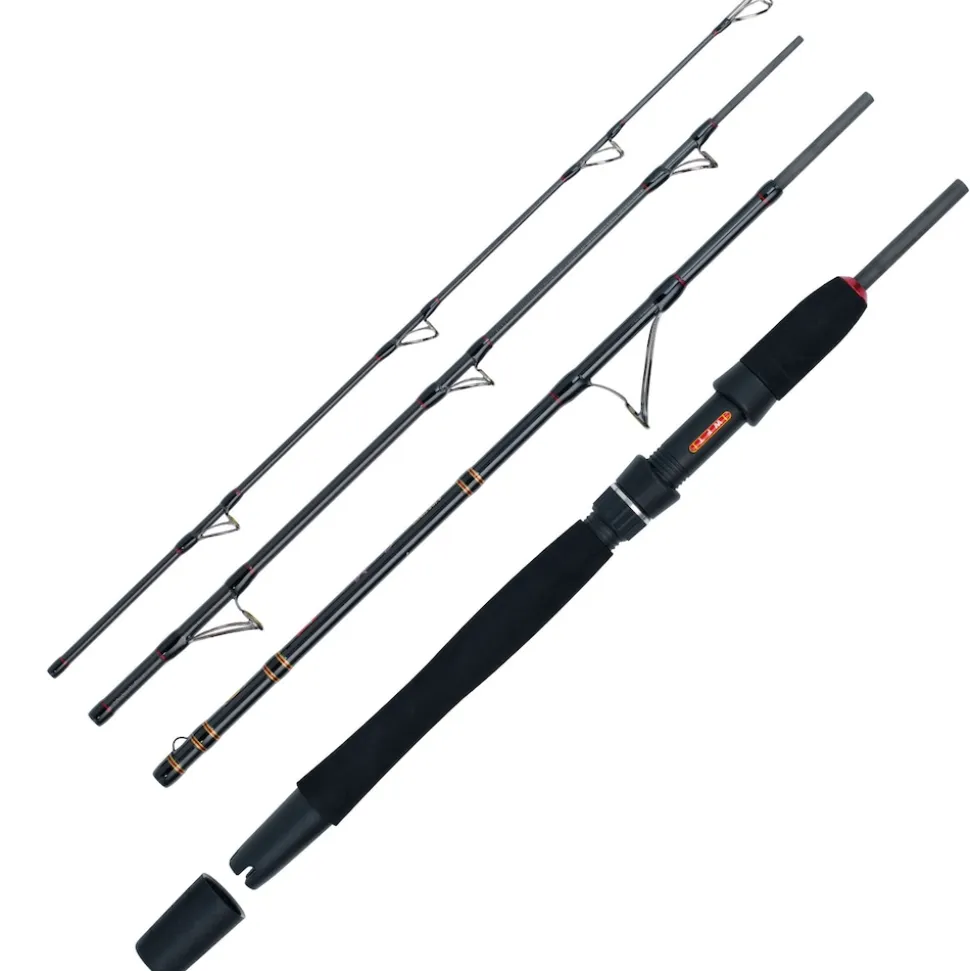WFT Go North II 4pcs. 20lbs 2,10m 100-400g Meeres-Reiserute
