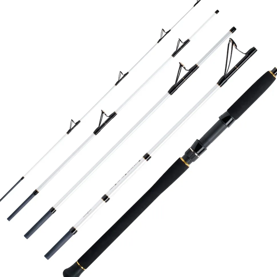 WFT Köhler Jigger Salzmeister 2,65m 25-120g Reiserute 5-Teilig