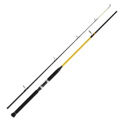 WFT Never Crack Big Fish 3,00m 150-700g Norwegen Rute