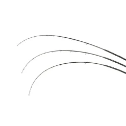 Zeck Pro Cat 3,00m 400g Wallerrute Allroundrute