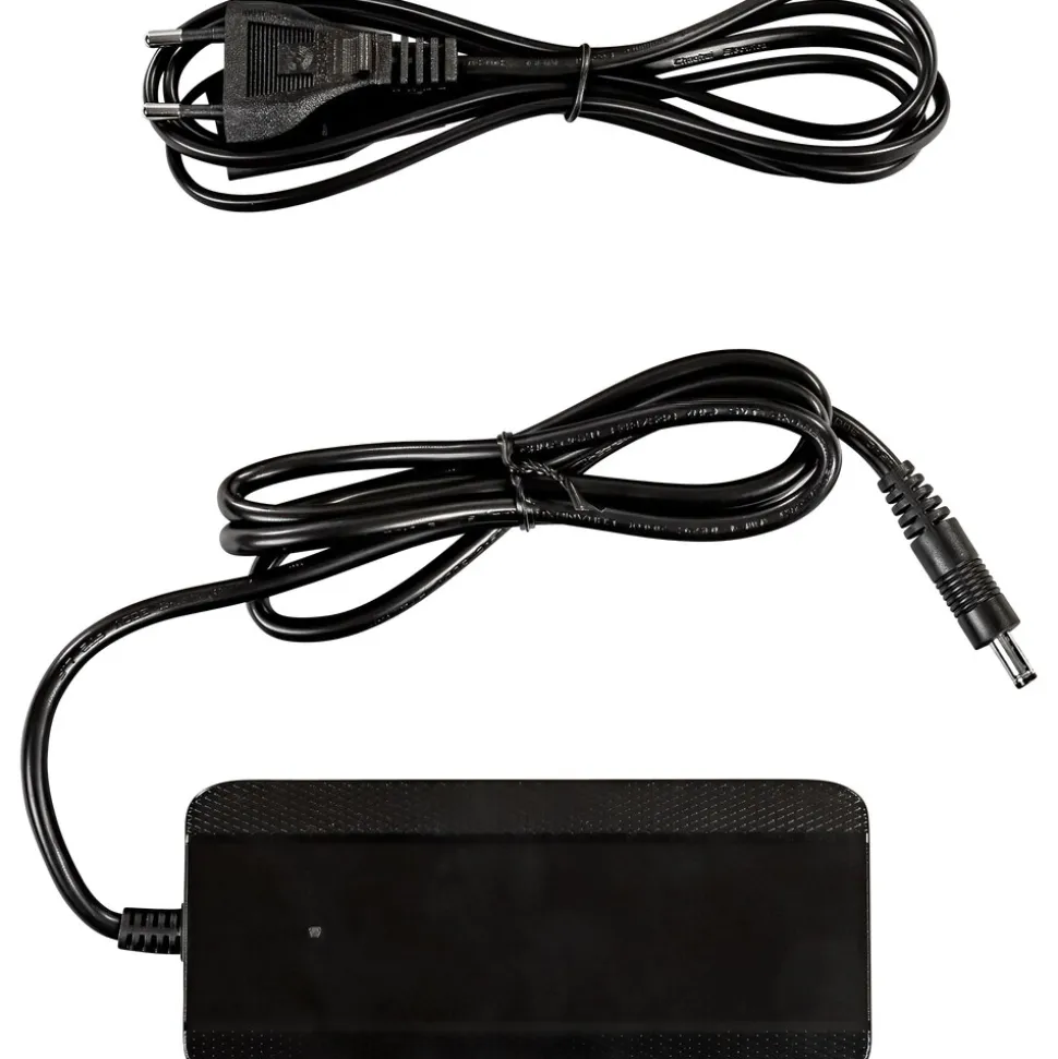 Zündapp BC257360020 Ladegerät 2A 100 - 240V für Lithium Ionen Akku Batterieladegrät Charger inkl. Netzkabel