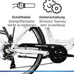 Zündapp Z503 E Bike Damen ab 155 cm Damenfahrrad 28 Zoll Pedelec mit tiefem Einstieg retro Elektrofahrrad 7 Gang Schaltung E Fahrrad Stadtrad StVZO