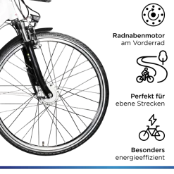 Zündapp Z517 E Bike 28 Zoll Pedelec Hollandrad E Fahrrad Damen 155 - 190 cm mit 7 Gang Nabenschaltung Rücktritt Citybike Nabenmotor